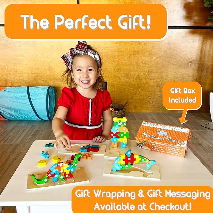 Montessori Wooden Puzzle Box Set (2025 Edition) - Multi